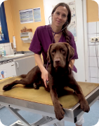 Dr Oleksandra TA Mannheim Tierarzt
