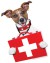Tierarzt Mannheim Tierarztpraxis Fuchs Erste Hilfe Kurs Hund