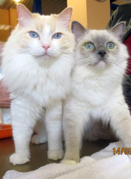 Tierarzt_Mannheim_Patienten_003